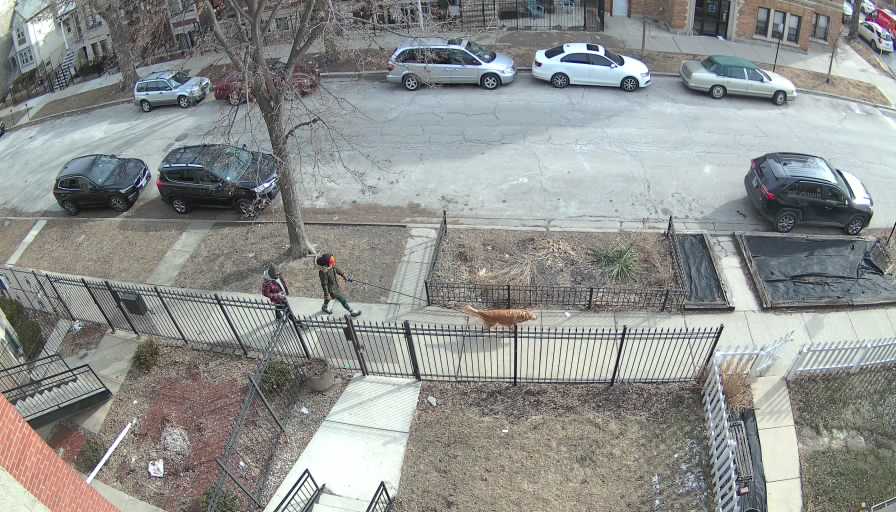 Reolink Camera Two_01_Reolink Home Hub One_20260224100415.jpg